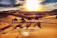 Gurun Sahara Desert