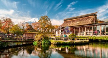untuk website (29)